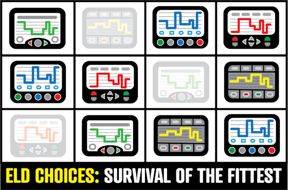 Various ELD clip art images above the text ELD Choices: survival of the fittest